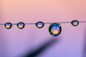 10 Home Business Ideas to Kickstart Your Entrepreneurial Journey