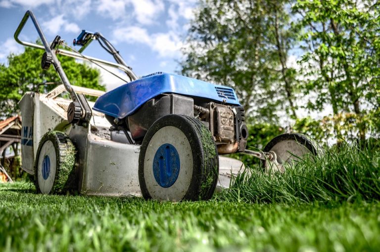 10 Must-Have Online Business Tools for Success Today