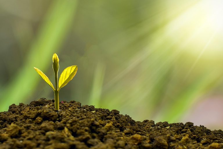10 Proven Strategies for Blogging for Profit Today