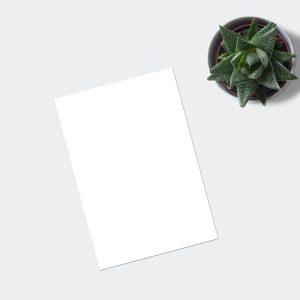 10 Proven Strategies to Boost Your eCommerce Sales