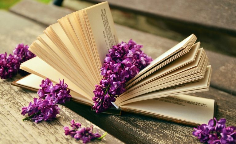 10 Proven Ways to Earn Through Instagram Today!