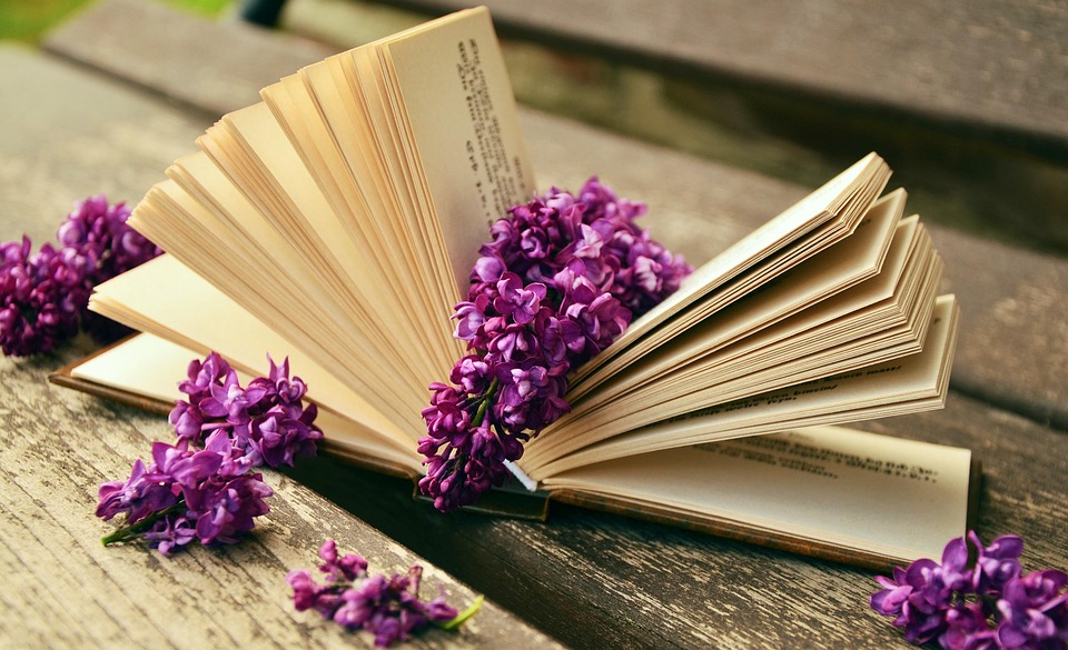 10 Proven Ways to Earn Through Instagram Today!