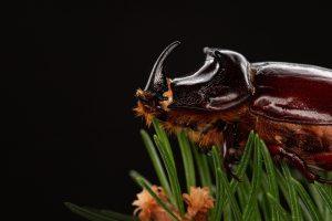 7 Common Android Bugs That Drive Users Crazy!