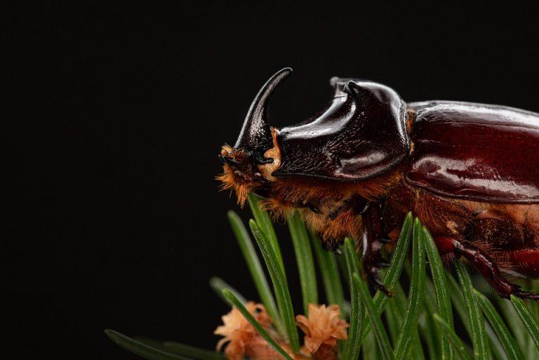 7 Common Android Bugs That Drive Users Crazy!