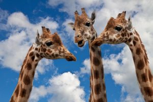 7 Reasons Decentralized Exchanges Are the Future of Trading