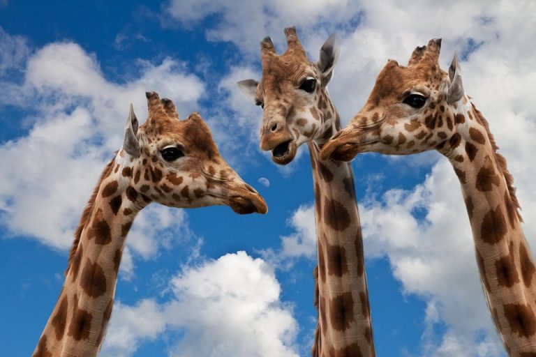 7 Reasons Decentralized Exchanges Are the Future of Trading
