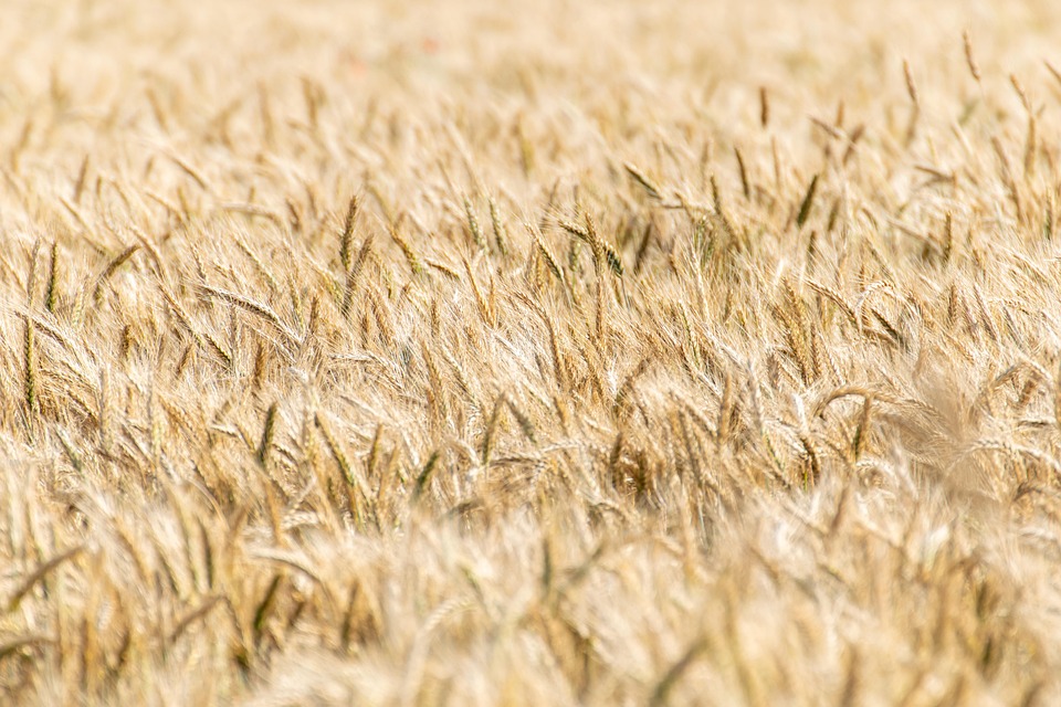 7 Yield Farming Strategies You Need to Know Now