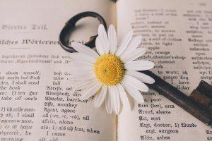Breaking Barriers: How to Start Your Career in Online Translation Jobs