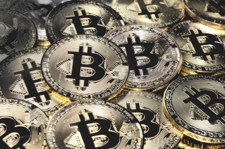 Navigating the Crypto Jungle: A Beginner's Guide to Smart Investments