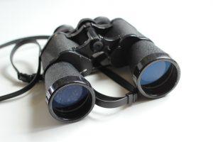 Navigating the Markets: How Trend Detection Tools Are Revolutionizing Trading Strategies
