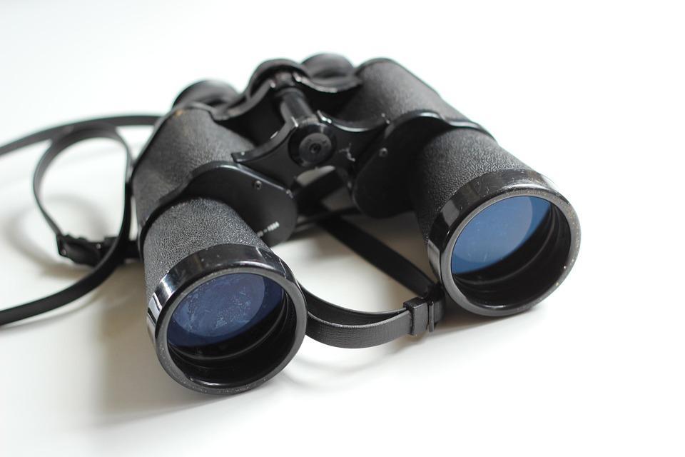 Navigating the Markets: How Trend Detection Tools Are Revolutionizing Trading Strategies