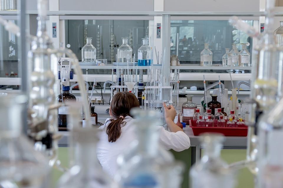 Unlocking Opportunities: The Rise of Online Research Jobs in Today's Job Market