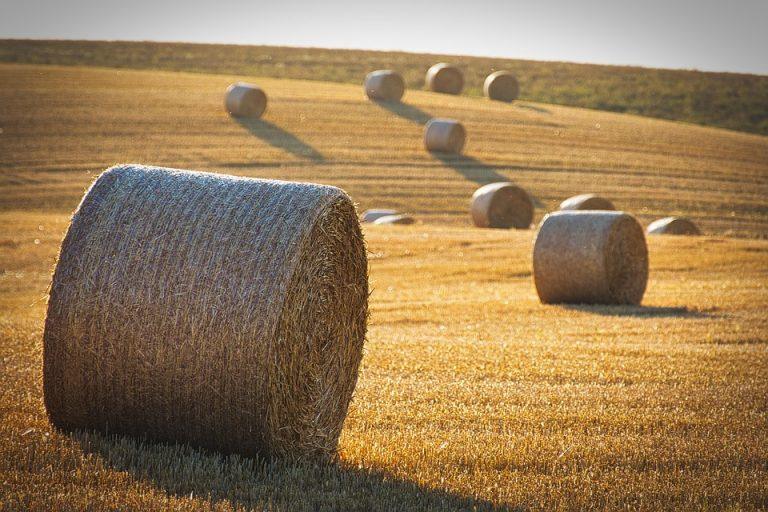 Unlocking Wealth: The Beginner's Guide to Yield Farming