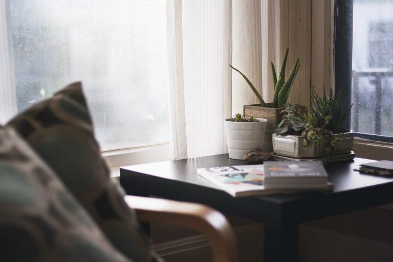 Unlocking Your Potential: Top 10 Side Hustles You Can Start from Home