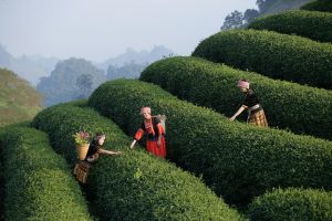10 No Experience Remote Jobs You Can Start Today!