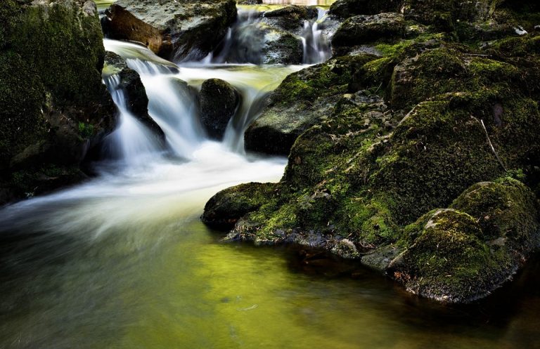 10 Passive Income Streams to Boost Your Wealth Today